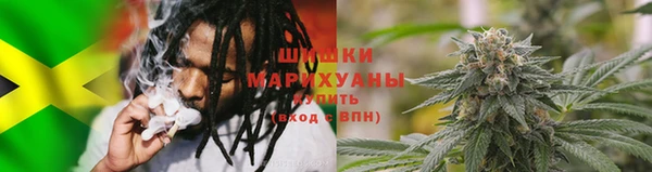 ГАЛЛЮЦИНОГЕННЫЕ ГРИБЫ Иннополис