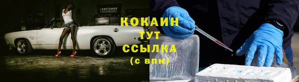 кокс Инта