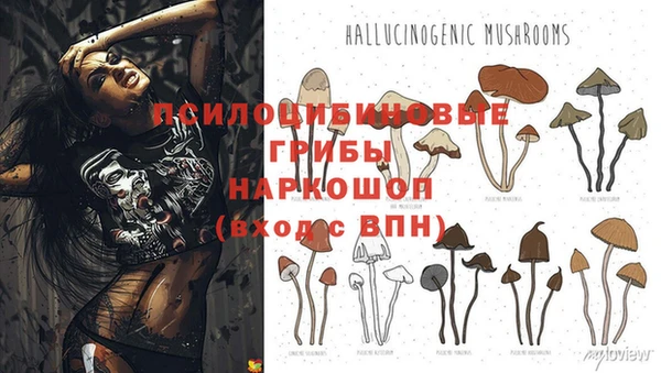 кокс Инта