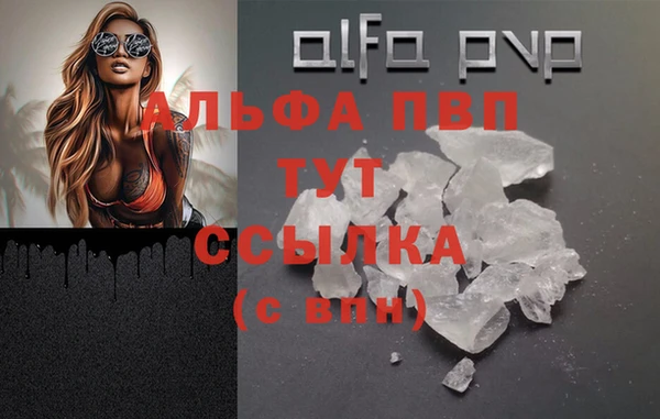 прущие грибы Карталы