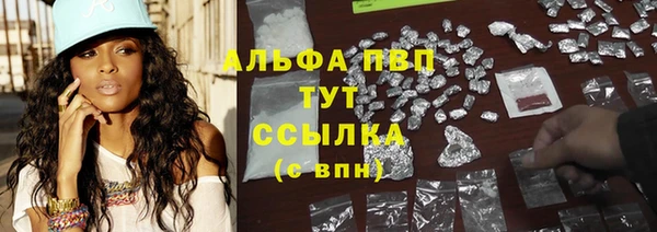 ГАЛЛЮЦИНОГЕННЫЕ ГРИБЫ Иннополис